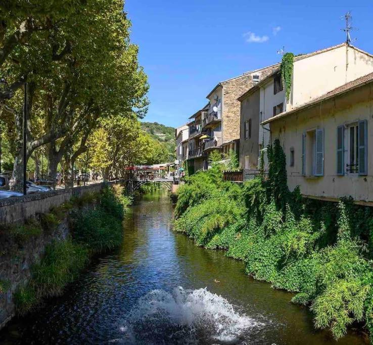 Le Palm Appartement Elegant & Design En Bord Riviere Collobrieres Exterior photo